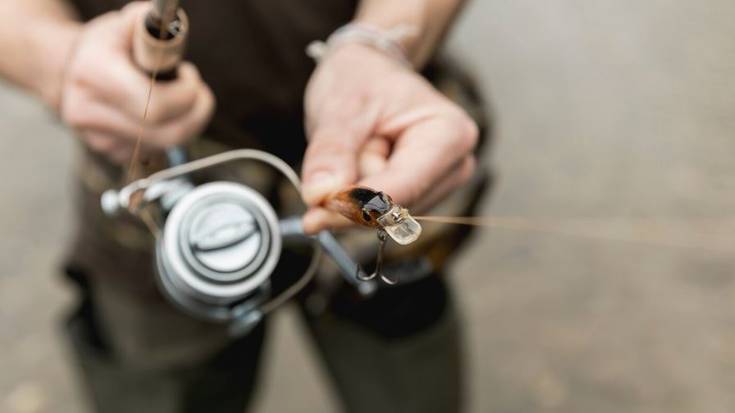 "Lau hamarkada euli-arrantza garatzen"