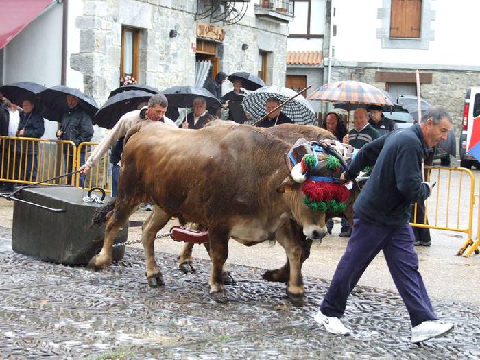 Igandean, San Isidro eguna