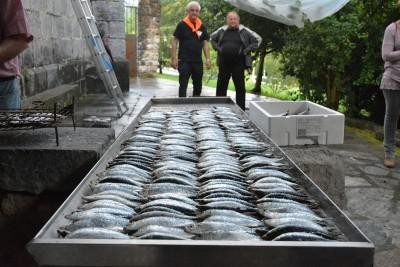 Haurrentzat arratsalde aproposa Sorabillan
