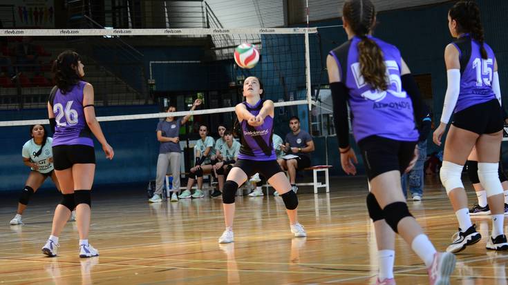 Gipuzkoako Kopako finalaurrekoak eta finala, Olaederran