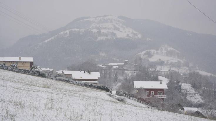 Duela bi urteko elurte ikusgarria