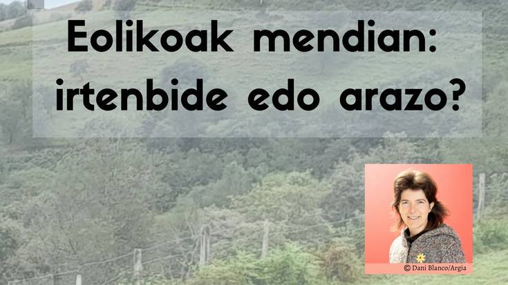 Hitzaldia: 'Eolikoak mendietan: irtenbide edo arazo?'