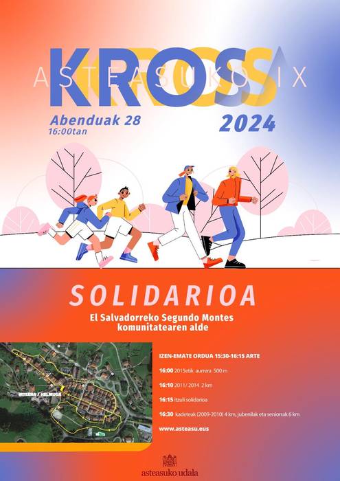 VII Kros solidarioa