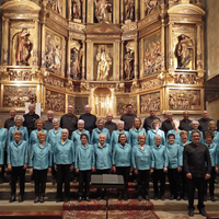 Kontzertua, larunbat honetan, Andoaingo San Martin Tours elizan