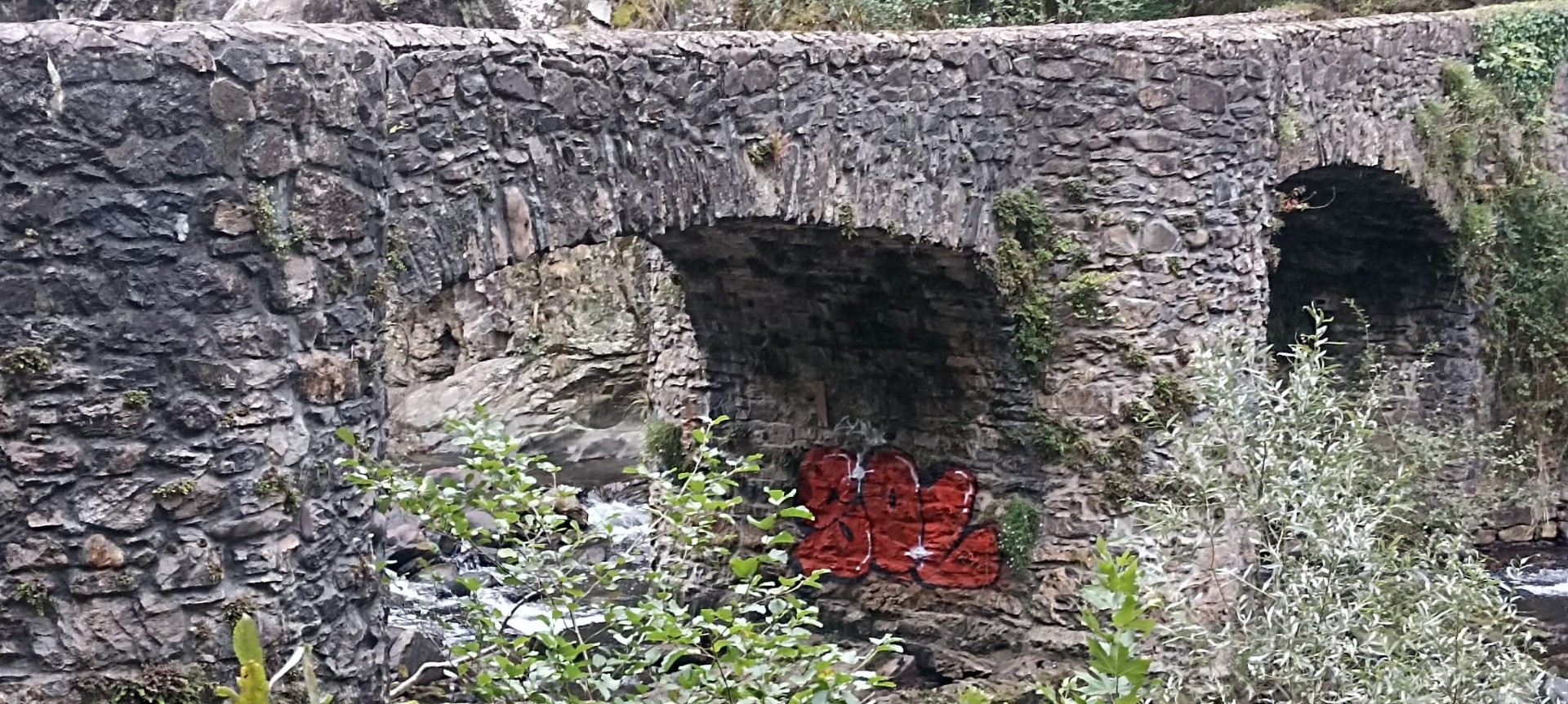 Graffitia agertu da Unanibian, babestutako naturgunearen bihotzean