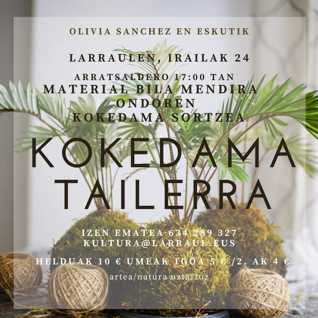 Kokedama tailerra, Larraulen