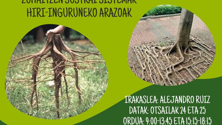 Ikastaroa Fraisoron: Zuhaitzen sustrai sistemak eta hiri inguruneko arazoak