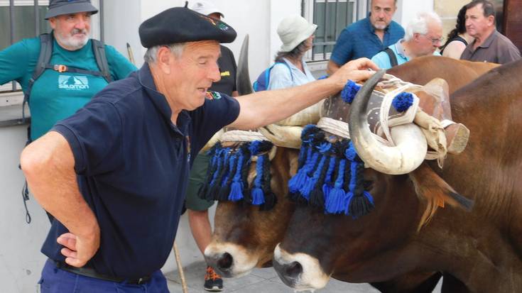 Aralarko San Migel santutegiko ateen ibilbidea idiekin: Villabonan barrena