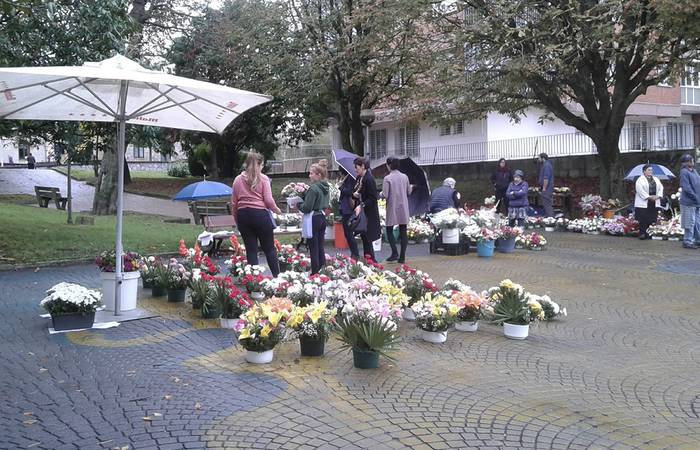 Istuitza Garden, datozen egunetarako aukera aproposa