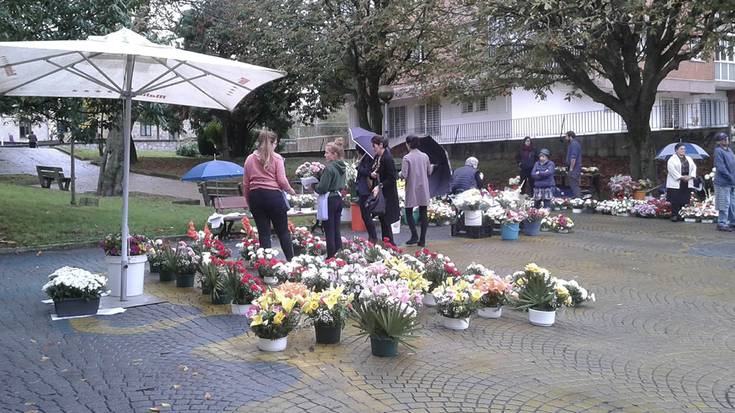 Istuitza Garden, datozen egunetarako aukera aproposa