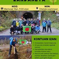 Zuhaitz landaketa Muntto parajean