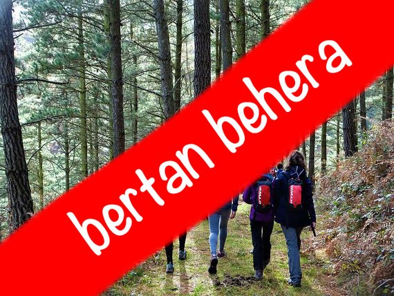 Eskualdeko ibilaldi neurtua