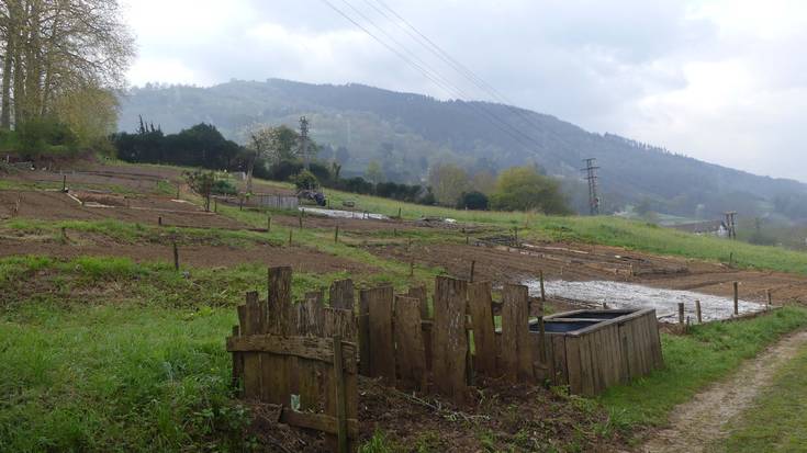 Baratza ekologikoen parkean partzelak eskatzeko aukera berria zabalik