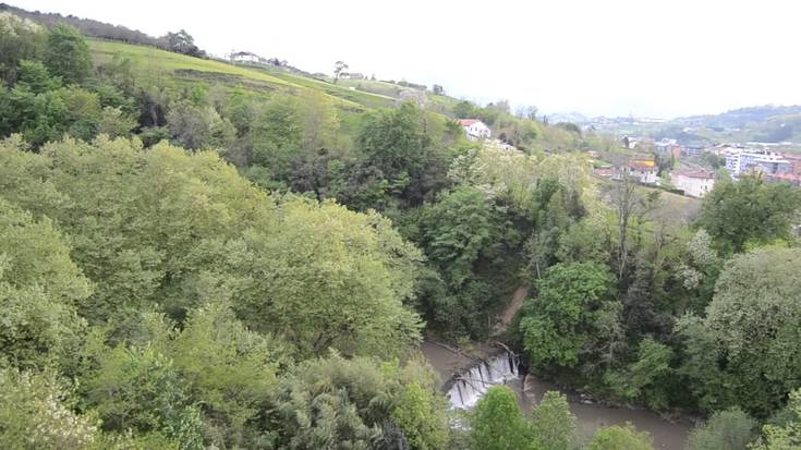 Haizete bortitza