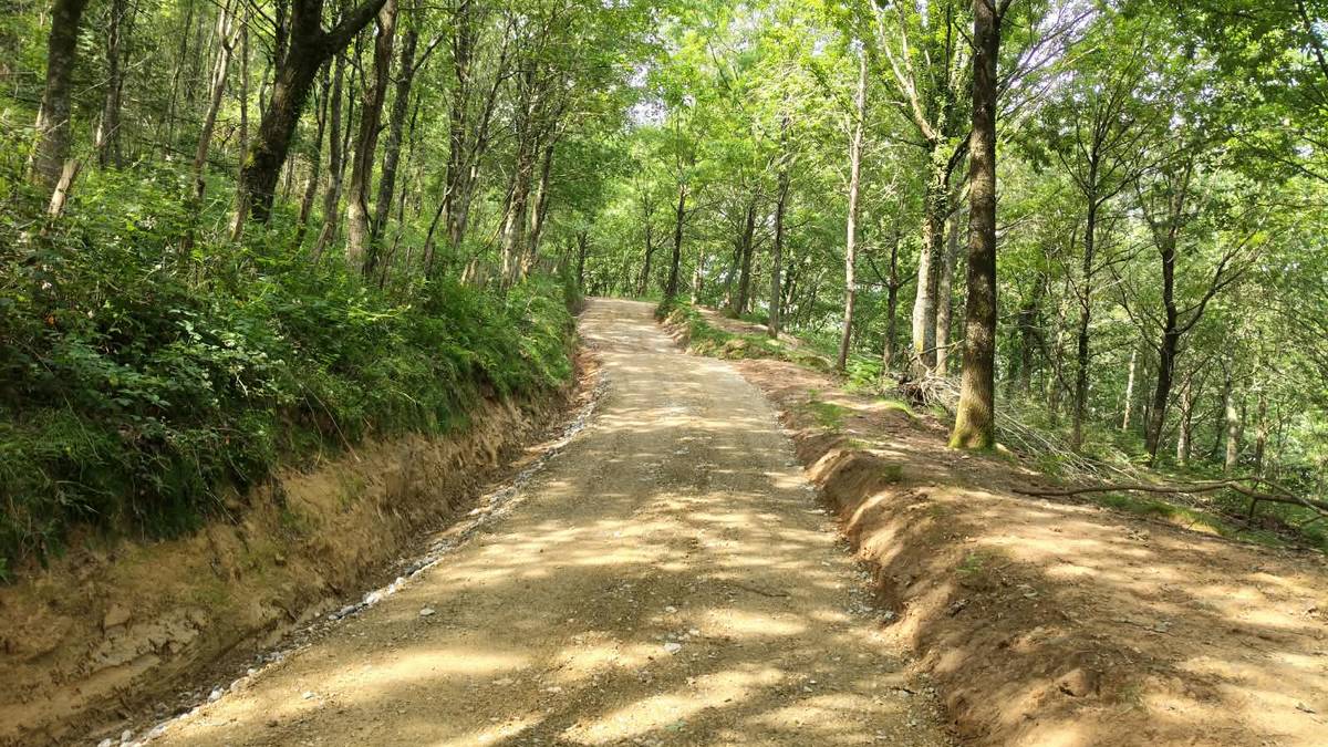 Adarramendi inguruko basobideak konpondu dituzte