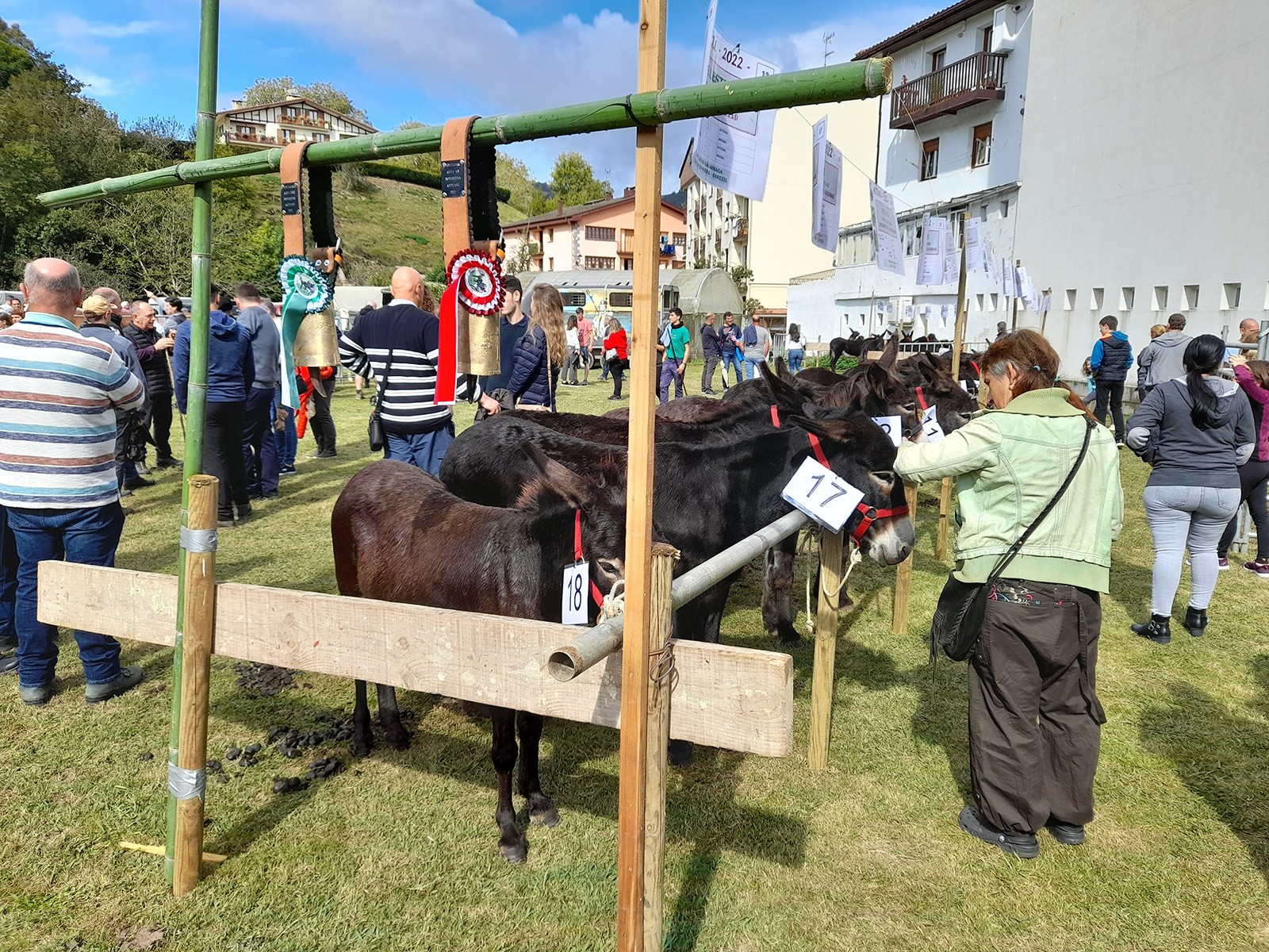 Azoka berezia Asteasun, igande honetan
