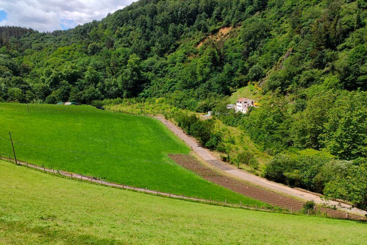 Leitzaran bailara, iragana eta oraina