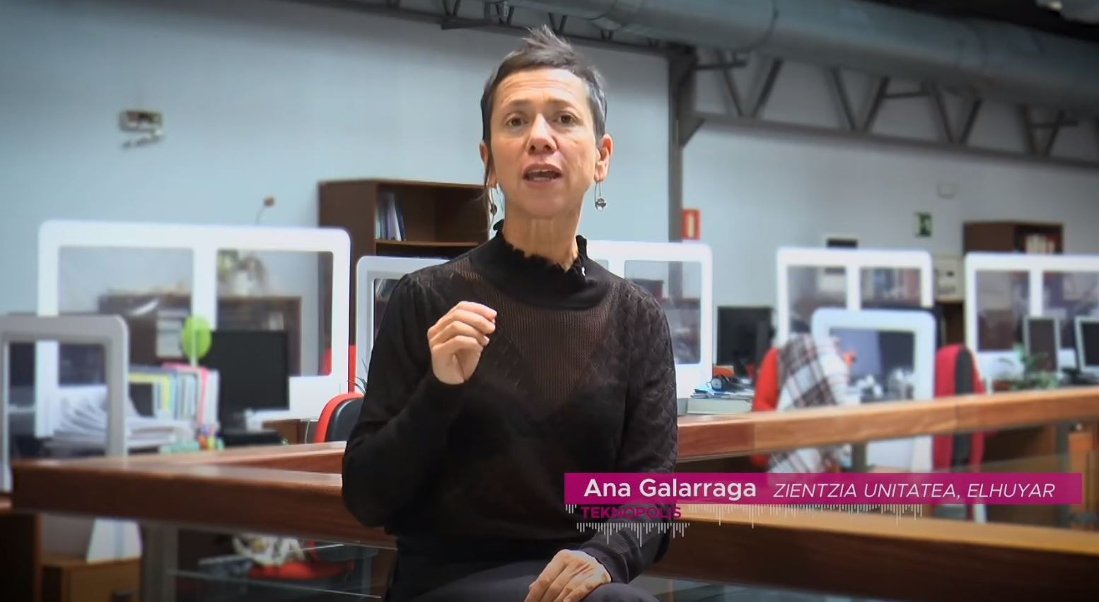 Koronabirusaren gakoak. Gainazalak