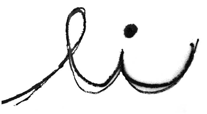 Li arropa eta osagarriak logotipoa
