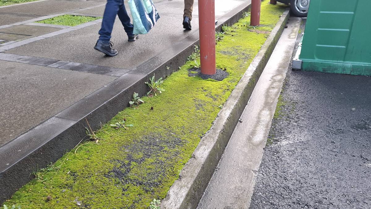 Garbiketa faltaren salaketa