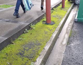 Garbiketa faltaren salaketa