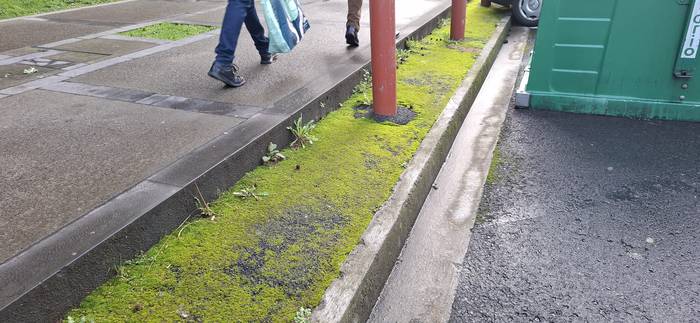 Garbiketa faltaren salaketa